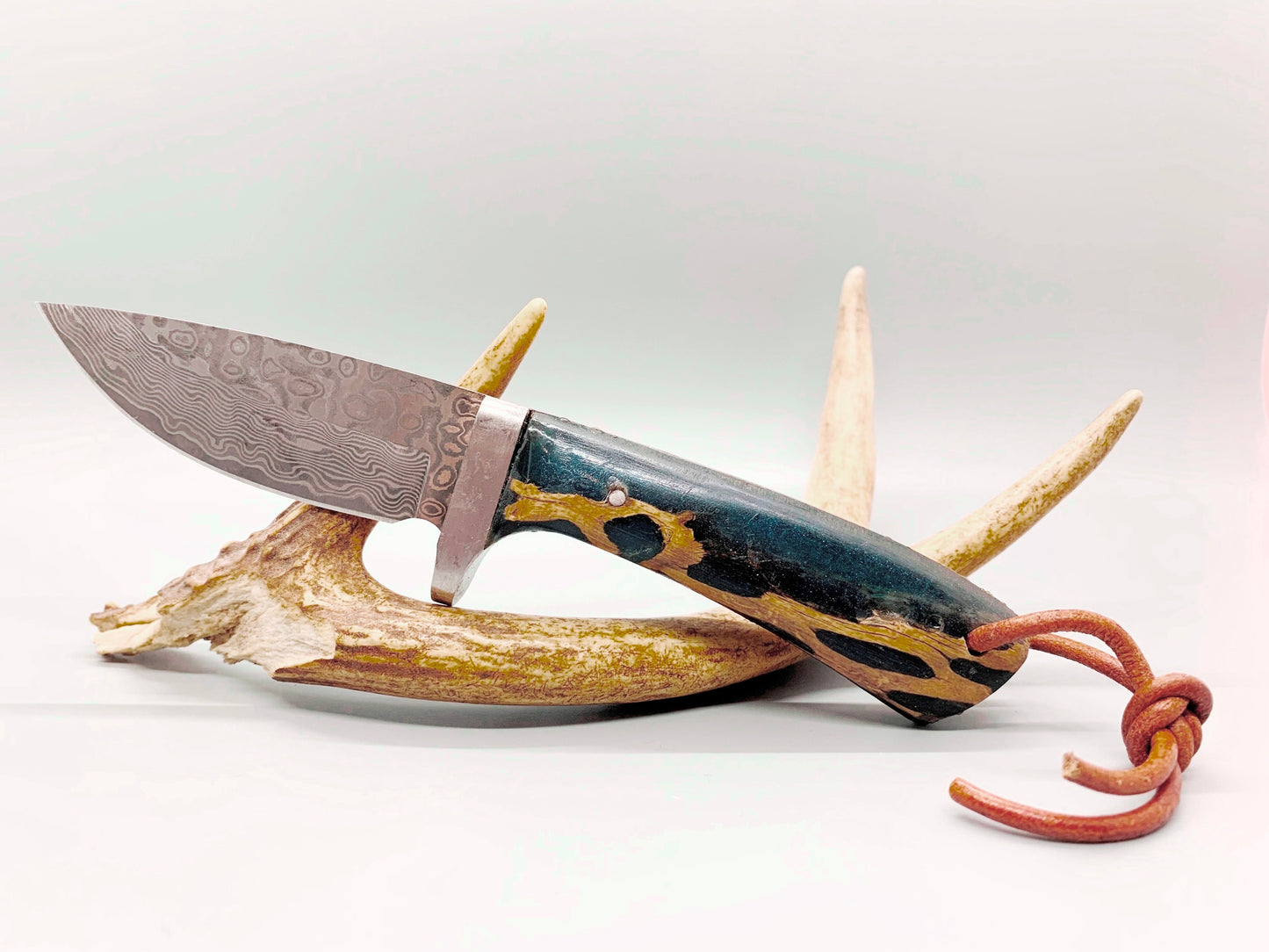 FX-059 Cholla Cactus Handle w/ Fixed Damascus Blade