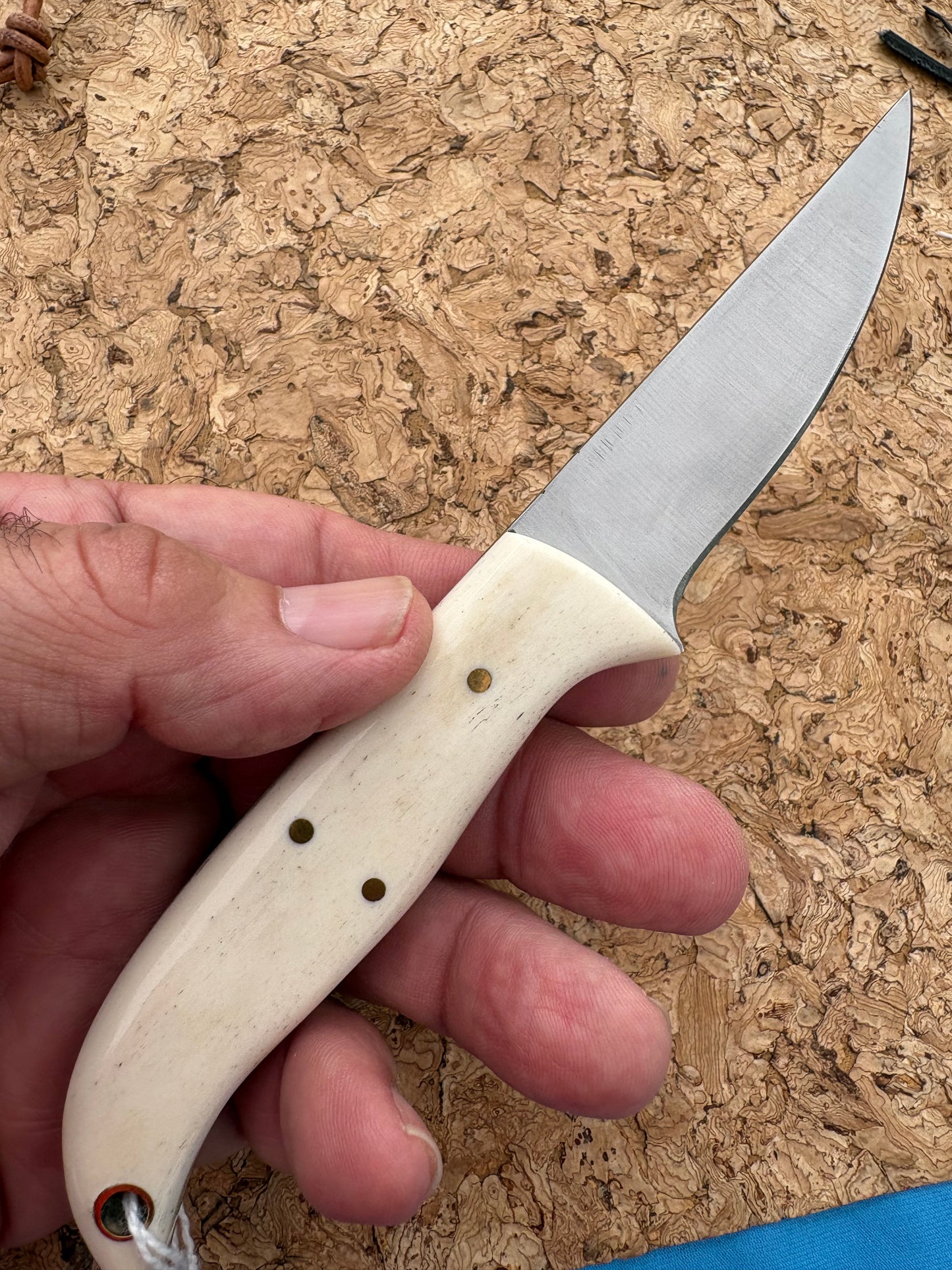 FX-017 Bone Handle Blade Knife