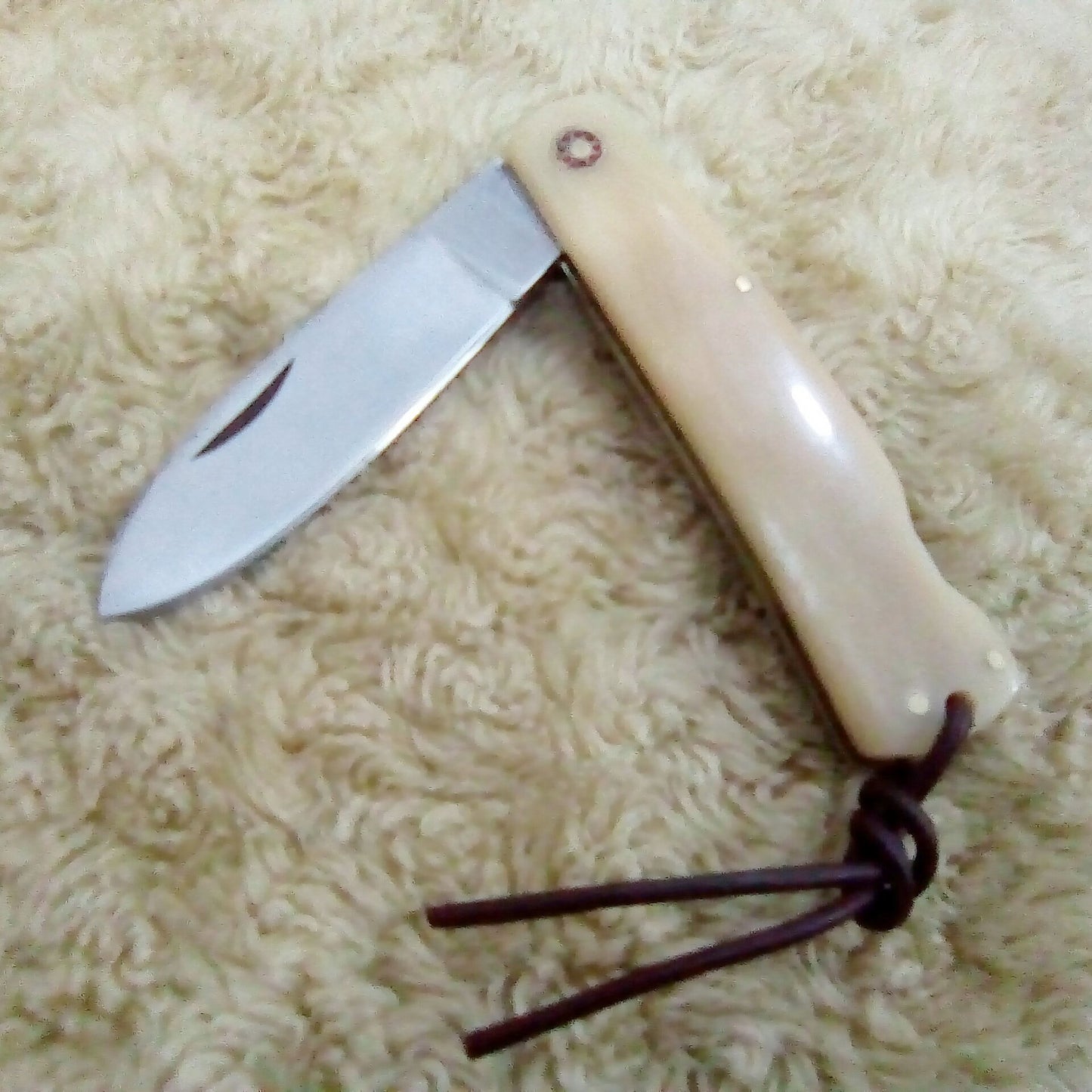 FD-007 Bone Handle pocket knife w/ steel blade