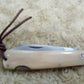 FD-007 Bone Handle pocket knife w/ steel blade