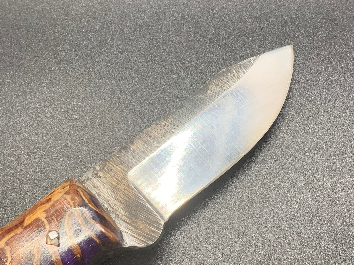 FX-118 Pine Cone handle Hunting/Utility knife w/ Stainless Steel Blade
