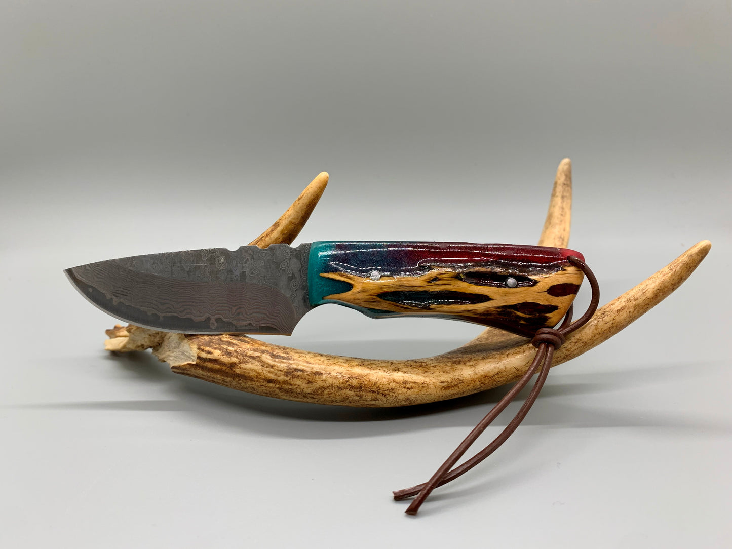 FX-079 Cholla Cactus handle w/ a 52100 Damascus blade