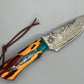 FX-079 Cholla Cactus handle w/ a 52100 Damascus blade
