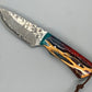 FX-079 Cholla Cactus handle w/ a 52100 Damascus blade