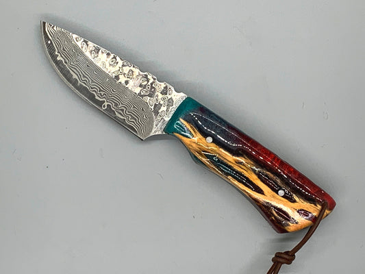 FX-079 Cholla Cactus handle w/ a 52100 Damascus blade