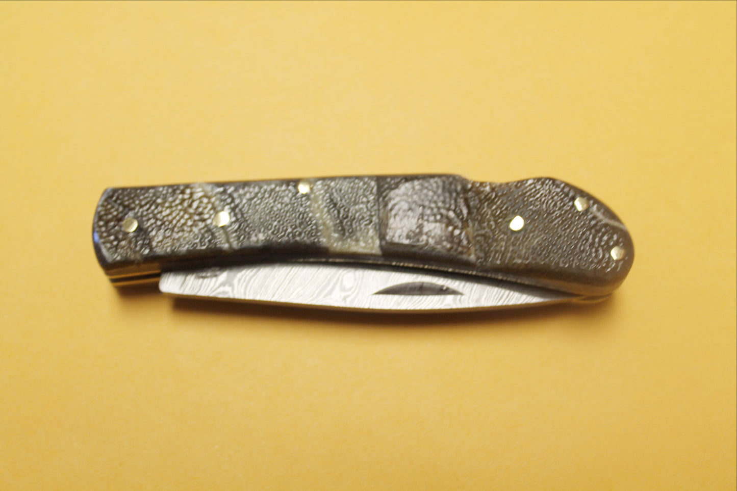 FD-057 Turtle Shell Handle Pocket Knife