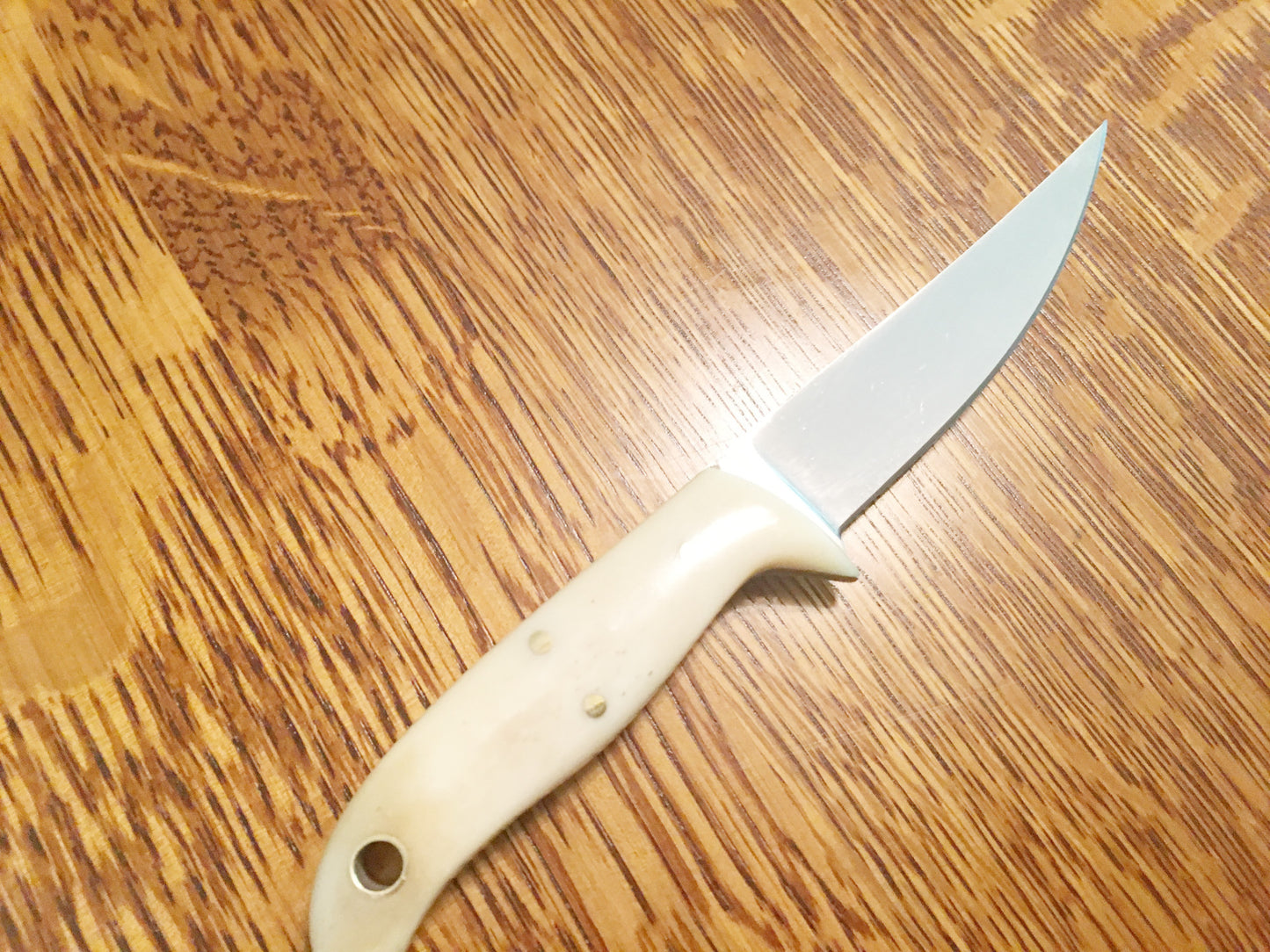 FX-030 Custom Bone Knife/Fixed Steel Blade