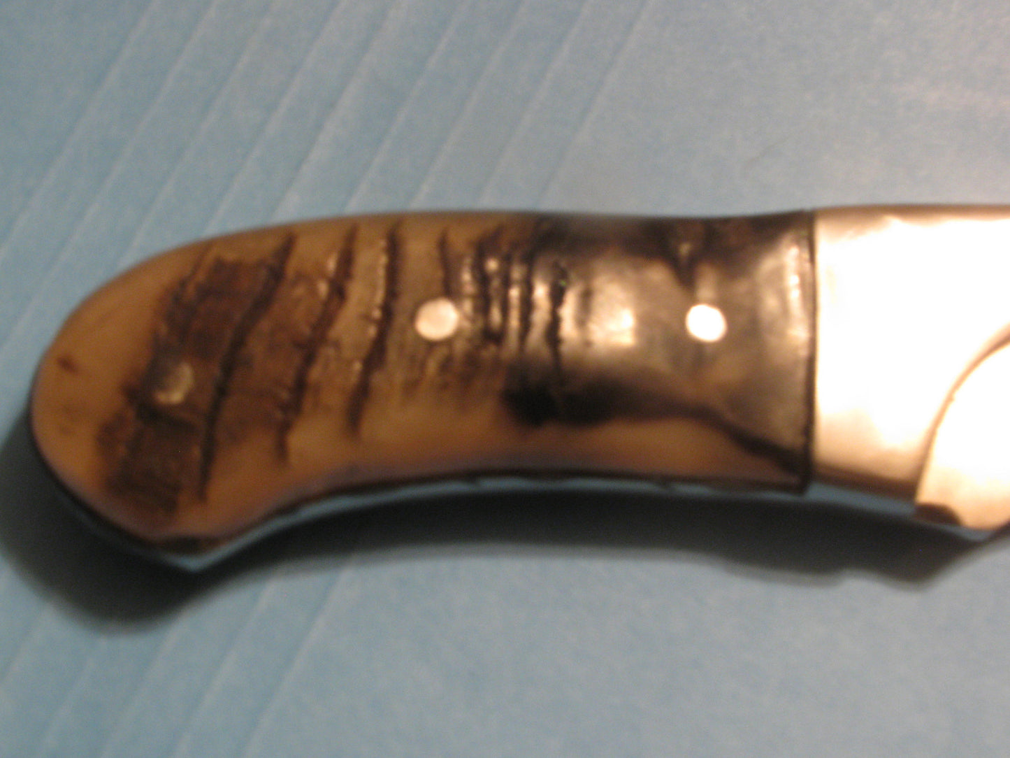 FX-125 RAM HORN HANDLE  SKINNER/ HUNTING KNIFE