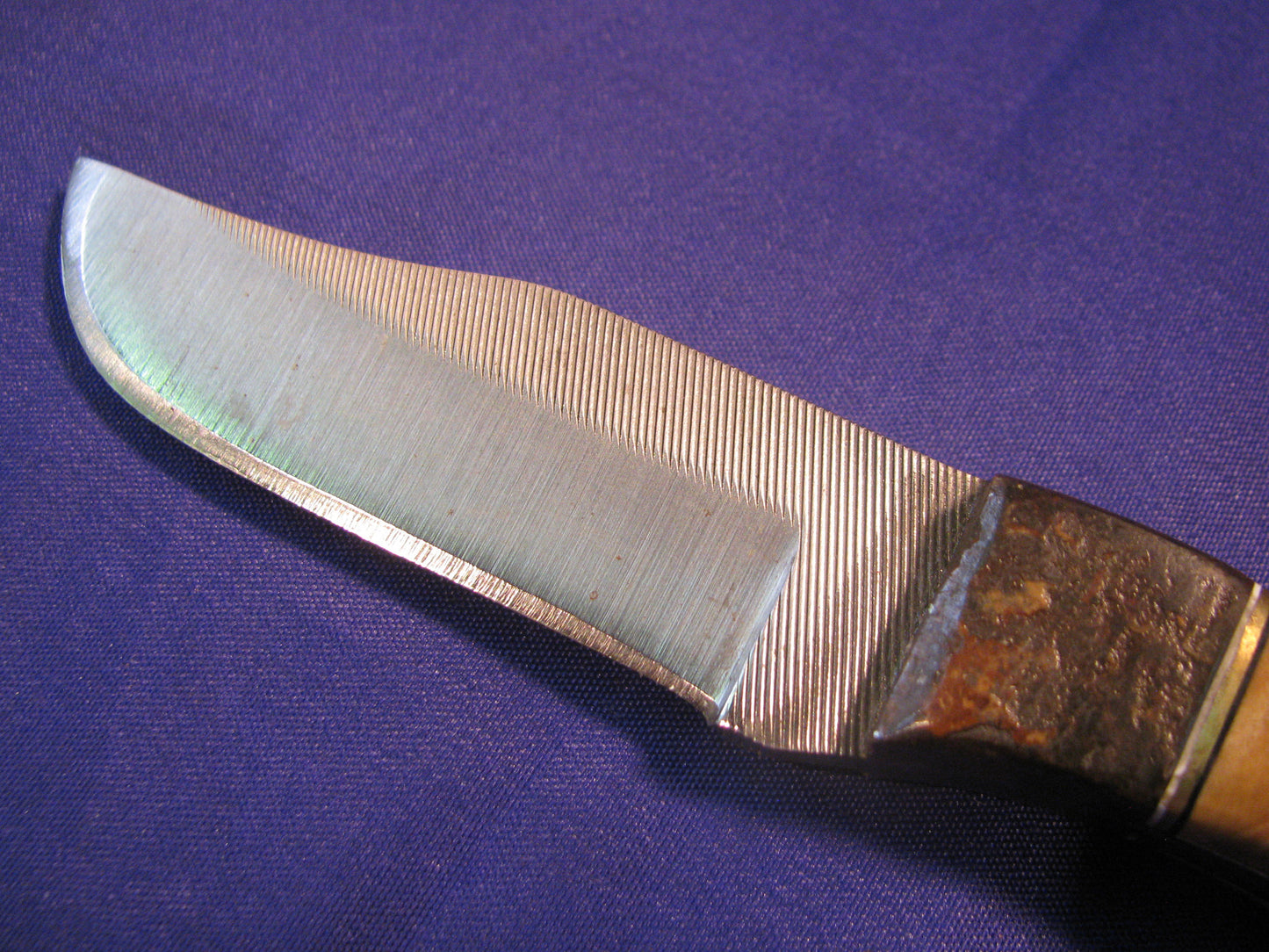 FX-111 SPALTED BUCKEYE WITH METEORITE BOLSTER  HUNTING KNIFE