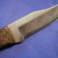 FX-111 SPALTED BUCKEYE WITH METEORITE BOLSTER  HUNTING KNIFE
