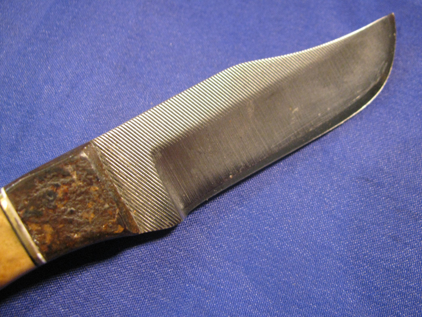 FX-111 SPALTED BUCKEYE WITH METEORITE BOLSTER  HUNTING KNIFE