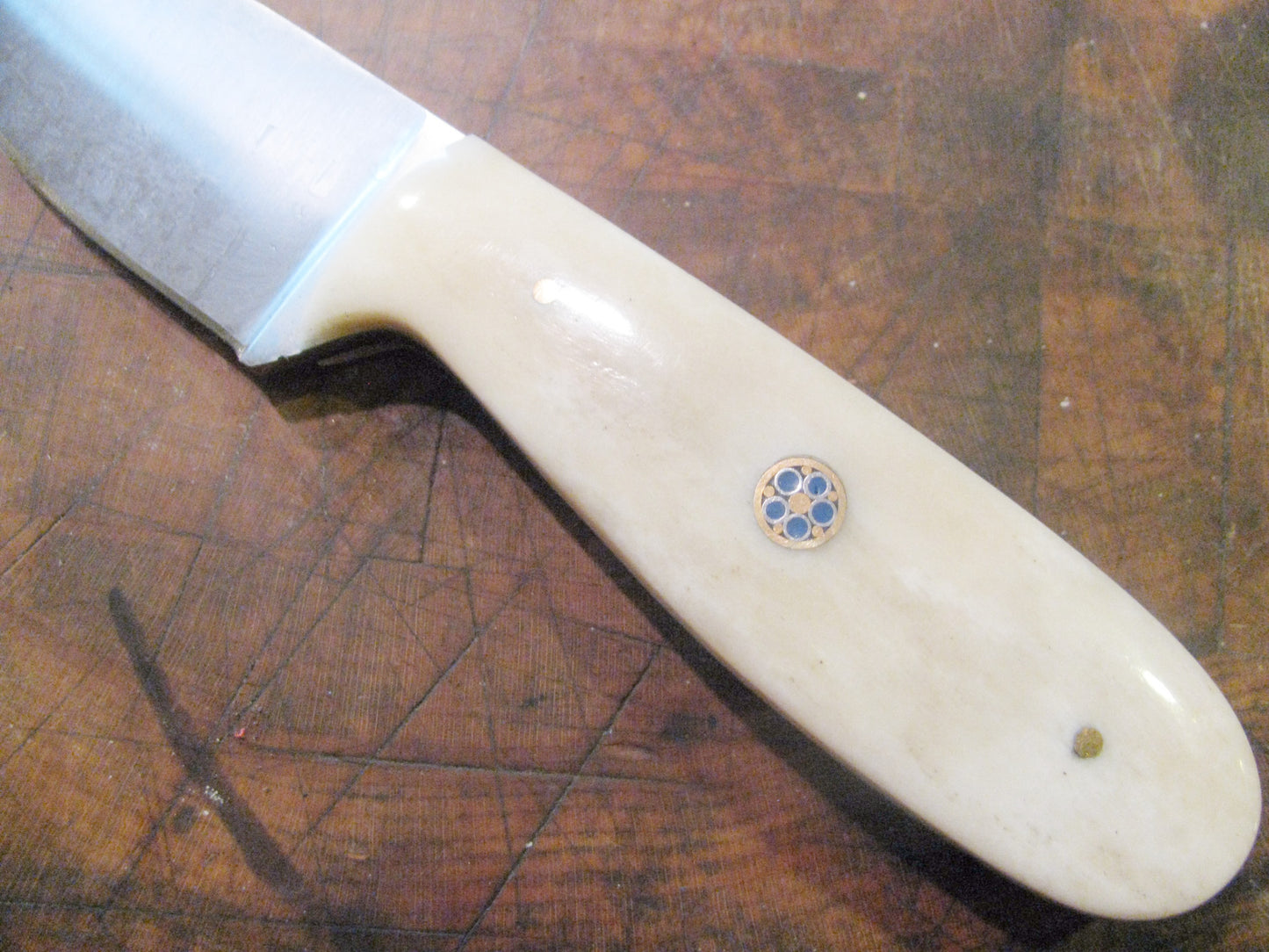 FX-017 Bone Wide Blade Knife