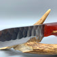 FX-064 Cholla Cactus handle w/ fixed Hammered Steel Blade
