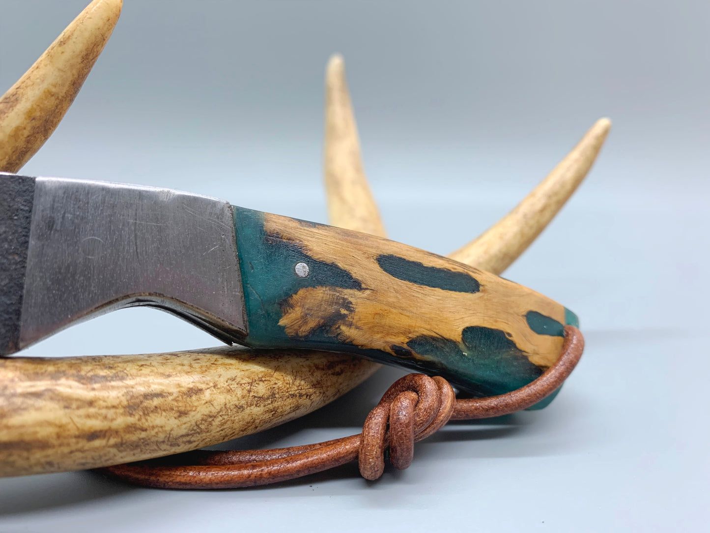 FX-066 Cholla Cactus Handle w/ hammered 440c blade