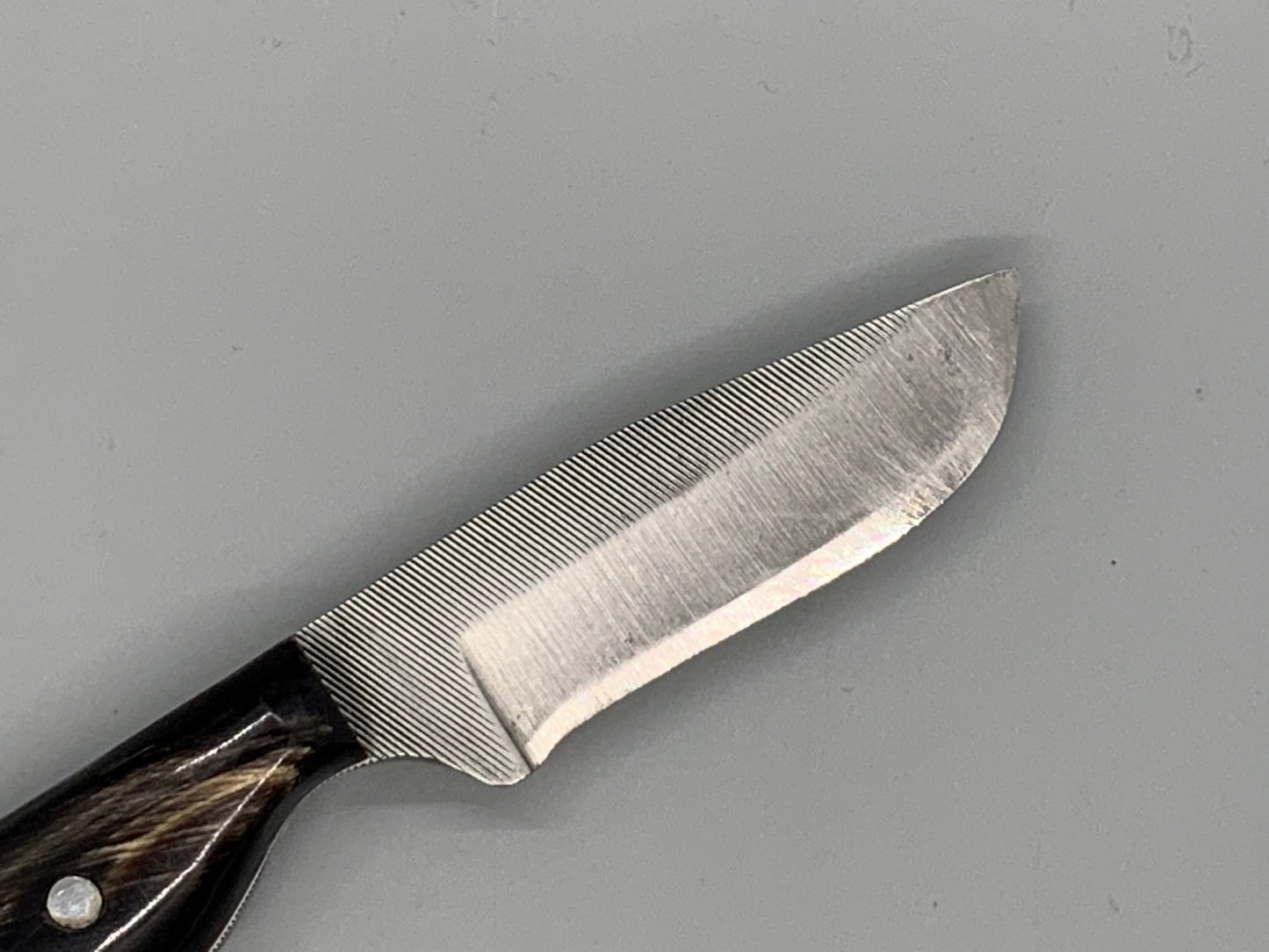 FX-122 Feathered Bull horn Hunting Knife