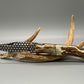 FD-060 Stag Antler handle w/Honeycome 440c blade