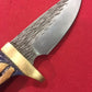 FX-022 Cholla Cactus Handle  Knife