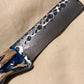 FX-024 Cholla Cactus Handle  Knife  Castrating Knife / Bull Cutter