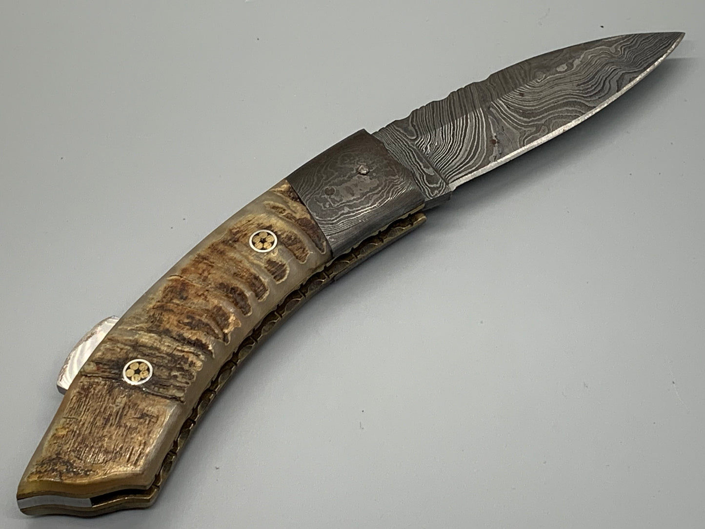 FD-043 Ram Horn Folder w/Damascus fold blade