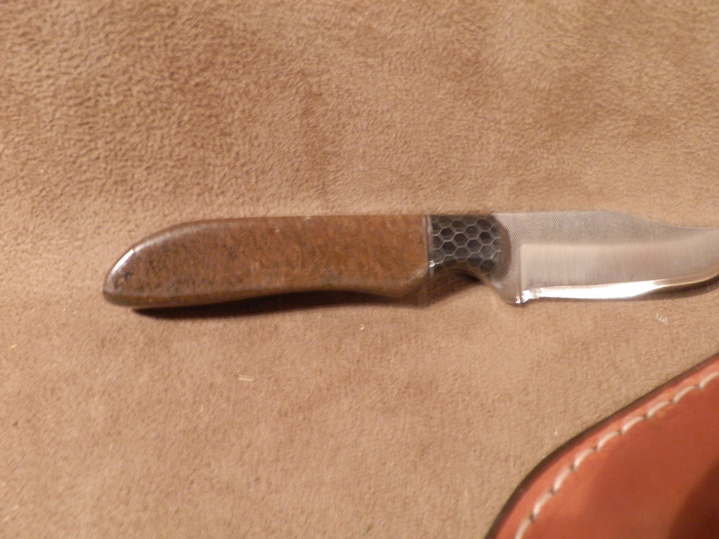 FX-037 DINOSAUR BONE HANDLE HUNTING KNIFE